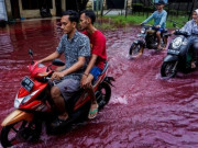 Thế giới - Indonesia: ‘Dòng lũ máu’ nhấn chìm một ngôi làng