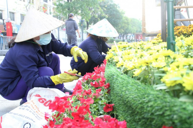 Các nhân viên công ty cây xanh nhặt bỏ các cánh hoa tàn, úa.