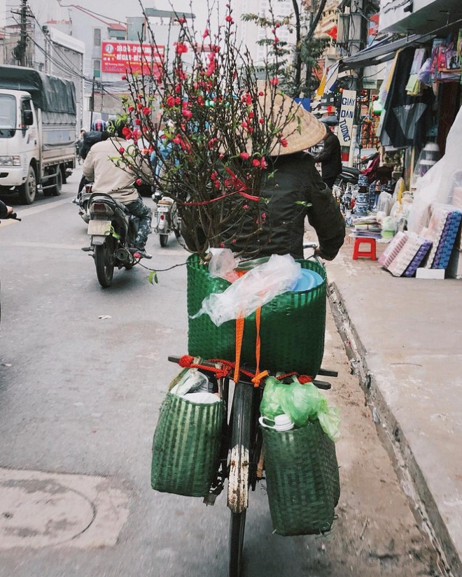 Dù bận rộn và mải mê nhiều công việc nhưng cứ phải có cành đào mới gọi là Tết - Ảnh: Phạm Lê