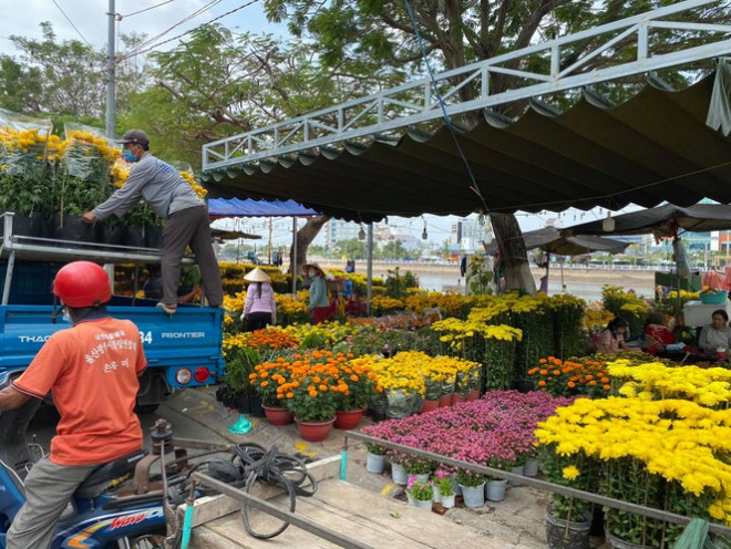 Nhìn thấy hoa ngập tràn khắp nơi là cảm nhận được không khí Tết đang cận kề - Ảnh: Thảo Nguyên