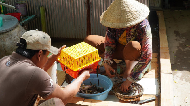 Hai vợ chồng anh Hiếu có thời gian sống bằng việc bắt cá dưới đáy sông.