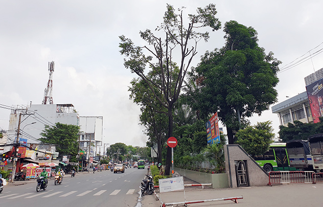 Đường Đinh Bộ Lĩnh &nbsp;trong chiều 30 tháng Chạp cũng vắng người lưu thông. Con đường này ngày thường xe cộ xếp hàng dài để di chuyển.