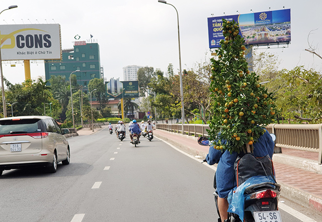 Người dân mua những chậu hoa về trưng trong nhà ngày Tết