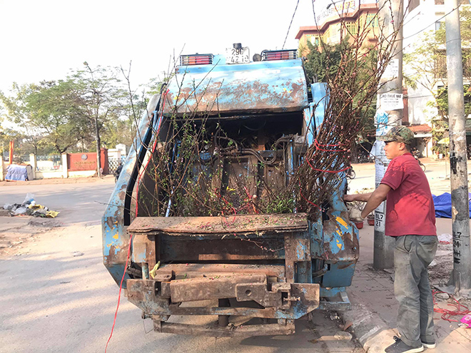 Đào, quất giảm giá sâu chiều 30 Tết, tiểu thương than thở “chán dịch COVID-19” - 6