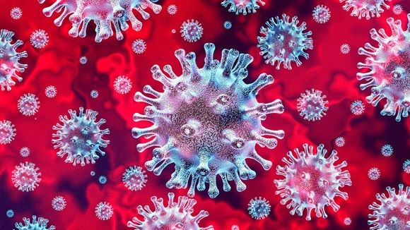 Ảnh minh họa chủng virus