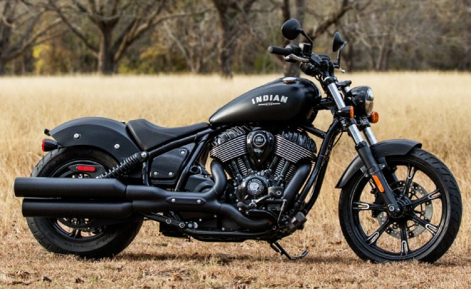 Indian Chief Dark Horse.