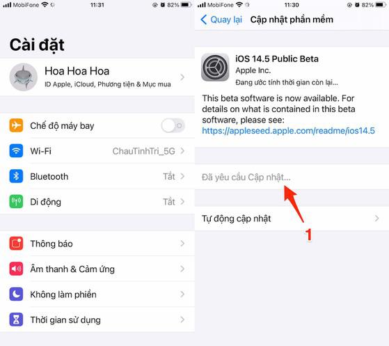 Cập nhật iPhone, iPad lên phiên bản mới nhất. Ảnh: MINH HOÀNG