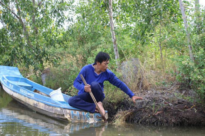 Đã mắt xem nông dân Cà Mau dùng tuyệt chiêu bắt ba khía - 4