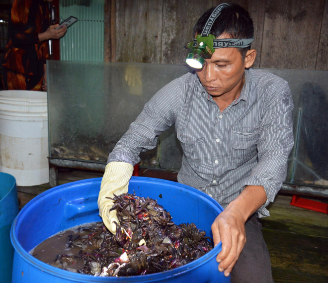 Đã mắt xem nông dân Cà Mau dùng tuyệt chiêu bắt ba khía - 19