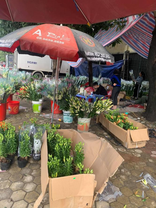 Hoa ly được bày bán dọc các phố lớn với giá rẻ bất ngờ so với trước Tết Nguyên đán.