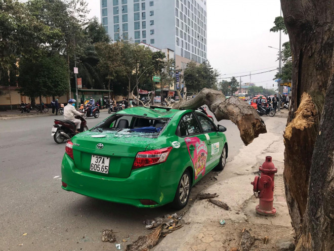 Vào thời điểm xảy ra vụ việc, có rất nhiều phương tiện lưu thông trên đường nhưng may mắn không ai bị thương.