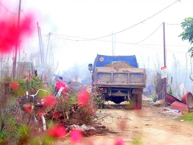 Đất sạch, màu mỡ được các chủ vườn đào mua để bổ sung dinh dưỡng cho vườn đào dịp đầu năm.