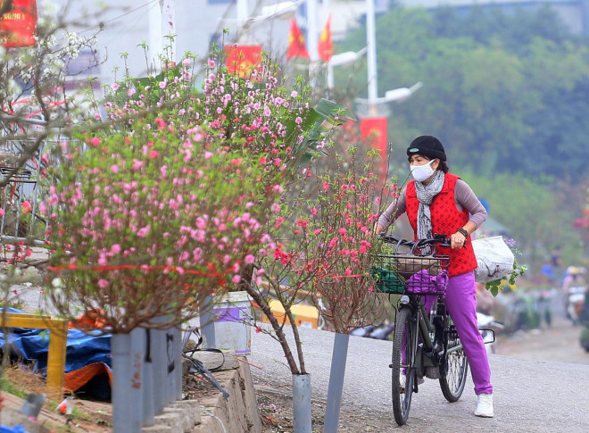 Nhiều người cho biết, dịp này các loại hoa chơi Tết đã héo úa và mong muốn thay thế đợt hoa mới để chơi từ nay đến Rằm.