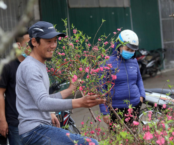 Những cành đào mini nhận được sự quan tâm của đông đảo người dân.