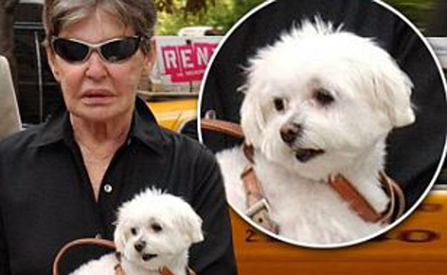 Khi Leona qua đời ở tuổi 87, bà đã để lại cho chú chó Trouble 12 triệu USD (278 tỷ đồng).  Chú chó tội nghiệp thậm chí đã gặp phải một số lời đe dọa về tính mạng. Tòa án đã can thiệp và cắt giảm khoản tiền thừa kế của chú chó trong di chúc xuống còn 2 triệu USD (46 tỷ đồng).
