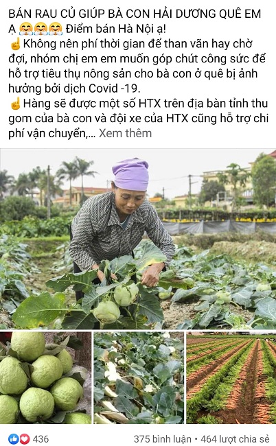 Chỉ trong vài giờ, bài viết "giải cứu" nông sản cho bà con vùng dịch đã thu hút hàng trăm lượt chia sẻ và bình luận đặt hàng. (Ảnh chụp màn hình).