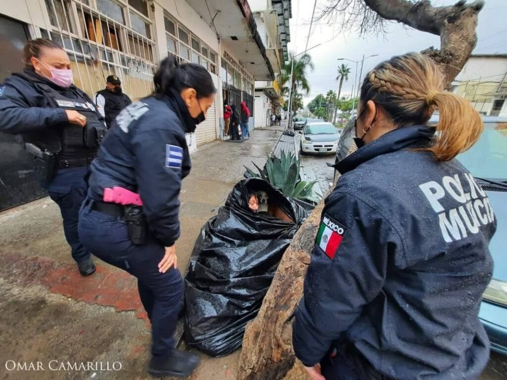 Cảnh sát và nhân viên trợ giúp xã hội tới giúp đỡ nhưng bà Olmedo nhất định không rời túi rác nếu phải bỏ rơi 6 chú chó (ảnh: Daily Star)