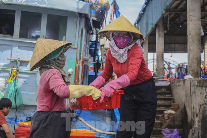 Ngư dân Quảng Ngãi trúng đậm sau chuyến biển xuyên Tết - 13