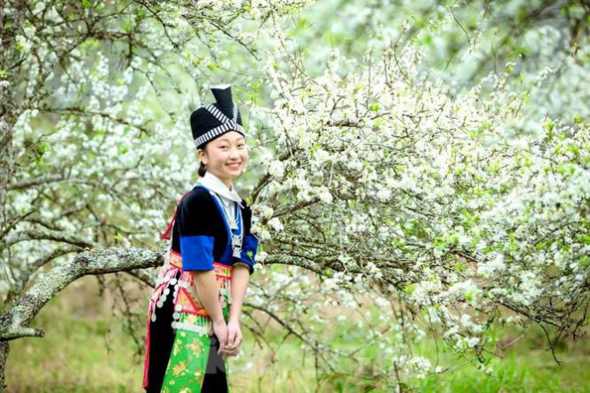 Về đây, mọi người sẽ được chiêm ngưỡng vẻ đẹp nao lòng của những vườn mận đang nở trắng muốt.