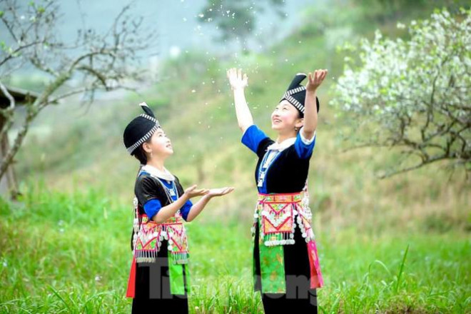 Xuân về, Mường Lống như được đánh thức bởi màu trắng hoa mơ, hoa mận...