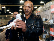 Thể thao - Tay chơi khét tiếng Mike Tyson chi 2 triệu đô, đấm gục người khác vì 1 chú chim