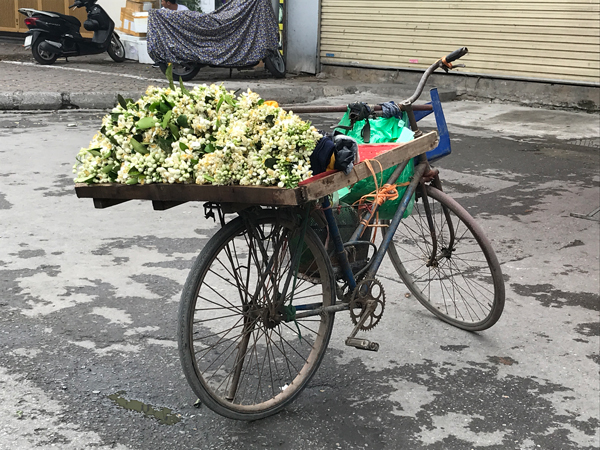 Những chiếc xe đạp chở đầy&nbsp;hoa bưởi bán dọc khắp nhiều tuyến đường ở Hà Nội.
