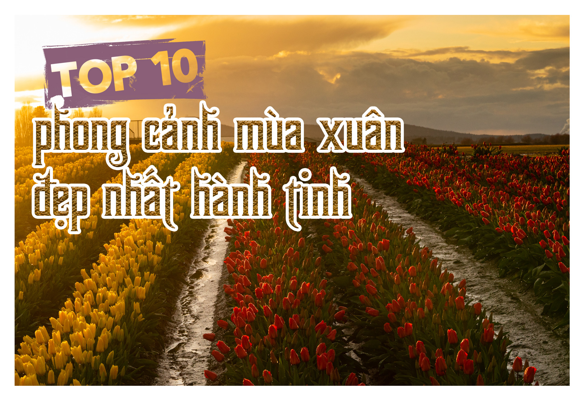 Top 10 phong cảnh mùa xuân đẹp nhất hành tinh - 1