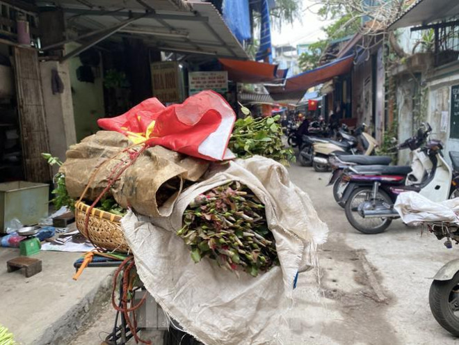 Thương lái giao hàng tới chợ từ sáng sớm. Người bán cho biết, hoa ngày Rằm, được giá nhất hoa hồng, bán lẻ 6 – 7.000 đồng/ bông. Hoa cúc, ly rớt giá rớt một nửa