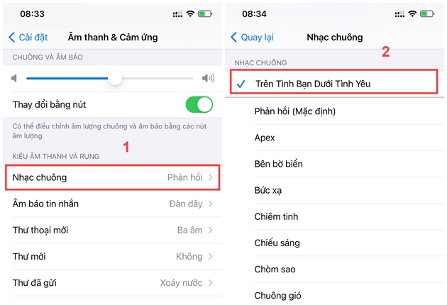 Cách cài nhạc chuông cho iPhone đơn giản nhanh nhất - 11
