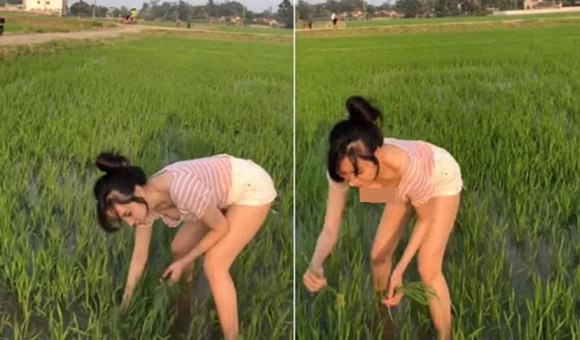 Mới đây, cái tên bà Tưng một một lần nữa gây xôn xao dư dân mạng với video ra đồng cấy lúa.
