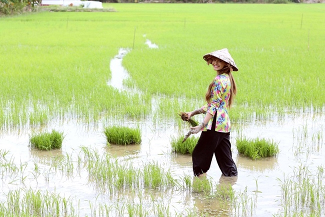 Dù chỉ là hình ảnh hậu trường trong phim song khoảnh khắc An Tây mặc áo bà ba, đi cấy lúa khiến nhiều người hâm mộ thích thú và chia sẻ rộng rãi trên mạng xã hội.
