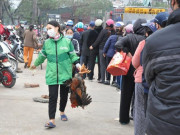 Thị trường - Tiêu dùng - Gà đồi Chí Linh giá chỉ 55.000 đồng/kg, hàng trăm người Hà Nội xếp hàng mua giải cứu