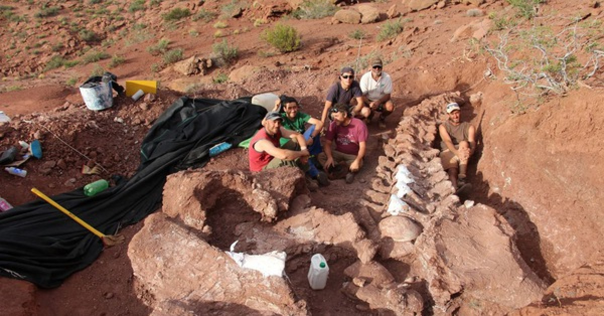 Một bộ hài cốt "quái thú" titanosaur được khai quật tại Argentina, ảnh của lần khai quật này vẫn chưa được công bố - Ảnh: CNN