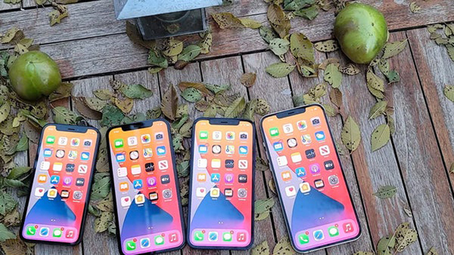 Phân loại iPhone đáng rút ví nhất năm 2021 ở mọi phân khúc giá - 1