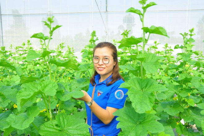 Chị Nguyễn Phượng Thư, Phó Giám đốc&nbsp;Trung tâm Hỗ trợ Thanh niên Khởi nghiệp An Giang. Ảnh: Hòa Hội&nbsp;