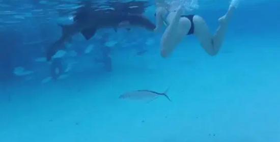 Một con cá mập lớn lao vào tấn công cánh tay đang dang rộng của Sarah Illig trong đoạn video. Ảnh: Instagram.