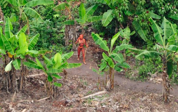 Thành viên bộ lạc nguyên thủy ở Amazon.