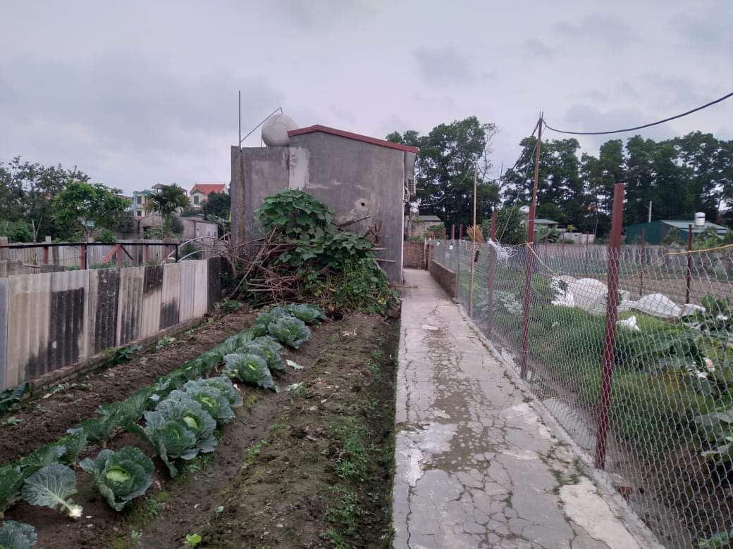 Căn nhà nằm trong ngõ sâu, tách biệt với khu dân cư nên người dân không hề hay biết về vụ án mạng.