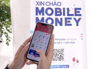 Công nghệ thông tin - Viettel: &quot;Ở đâu có sóng viễn thông, ở đó có Mobile Money&quot;