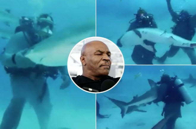 Mike Tyson "sợ phát khiếp" khi đối đầu cá mập