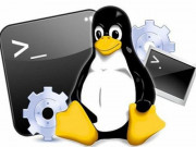 Công nghệ thông tin - Hệ điều hành Linux là gì? Ưu, nhược điểm, cách cài đặt và sử dụng