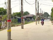 Tin tức trong ngày - Ninh Bình: 40 cột điện &quot;mọc&quot; chình ình giữa lòng đường, không đơn vị nào nhận trách nhiệm