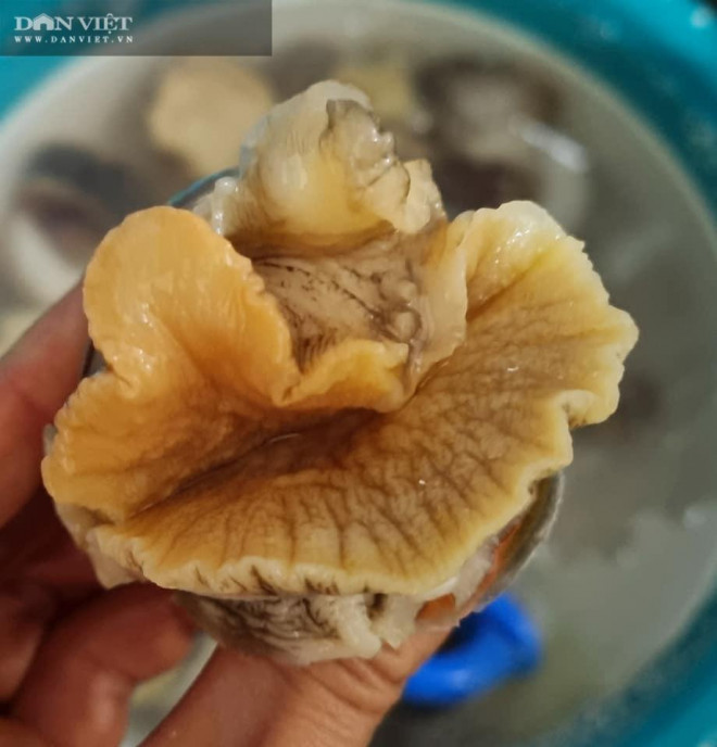 Cuối tuần, tự thưởng cho mình món ốc mỡ xào bơ tỏi cực ngon - 3