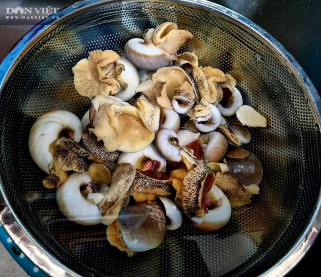 Cuối tuần, tự thưởng cho mình món ốc mỡ xào bơ tỏi cực ngon - 4