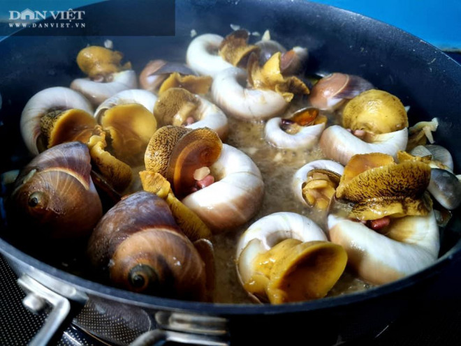 Cho ốc vào xào