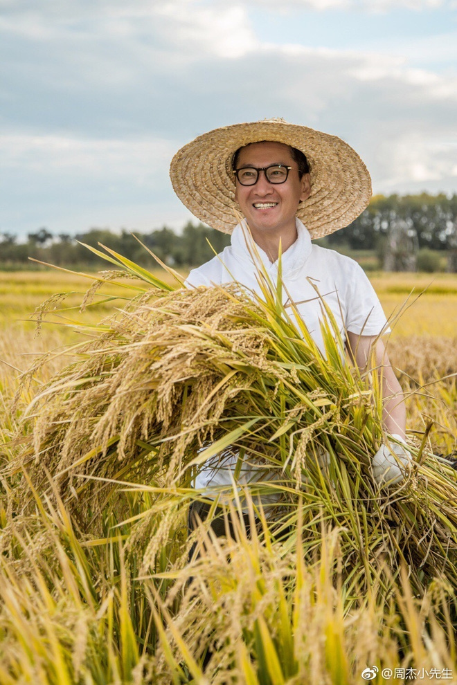 Sau nhiều tai tiếng, nam diễn viên quyết định về quê trồng lúa