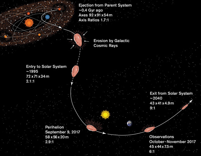 Đường đi của Ommuamua - Ảnh: S.SELKIRK/ĐẠI HỌC BANG ARIZONA