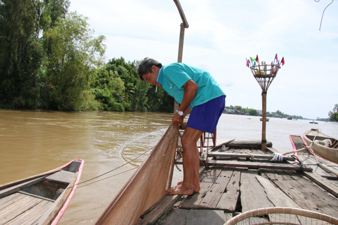 Đánh bắt cá linh mùa lũ tại các huyện thượng nguồn tỉnh Đồng Tháp