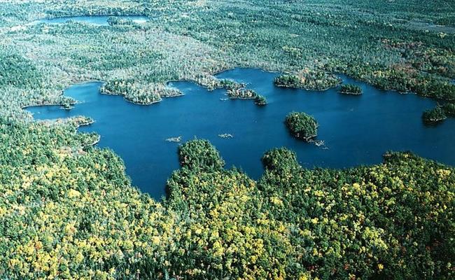 Sheel Lake là tên gọi của cụm đảo xanh tươi nằm trên hồ nước cùng tên ở Canada. Điểm cộng lớn của hòn đảo này là cảnh quan thiên nhiên khá thơ mộng.

