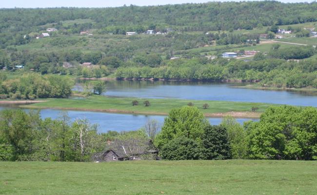 Đảo McGibbon tọa lạc trên dòng sông St.Johns, New Brunswick, Canada hiện đang được rao bán với mức giá chưa đến 29.900 USD (689 triệu đồng).
